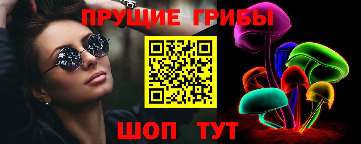 Зима  Псилоцибиновые грибы прущие грибы  Вход с VPN 